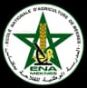 ENAM